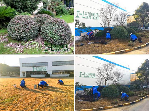 orange����ƽ̨��(�й���)�ٷ���վ