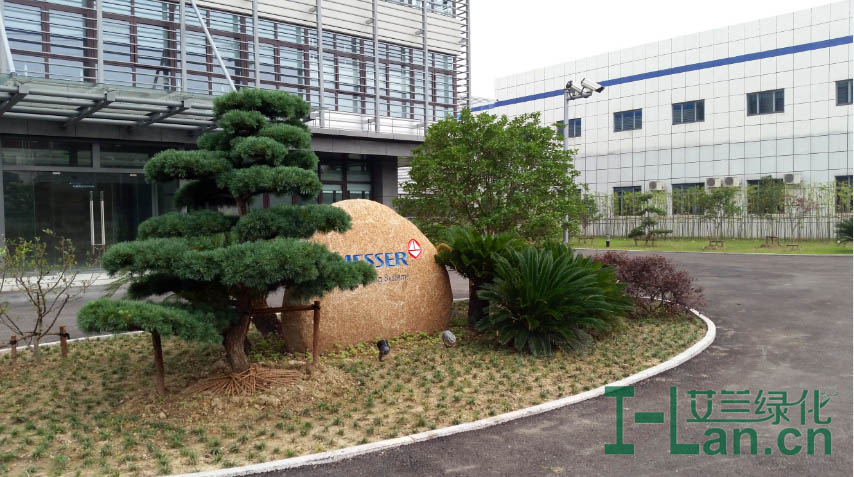 ���������Ʒ